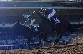 Bar Of Gold ridden by Irad Ortiz Jr. (#5) beats Ami's Mesa ridden by Luis Contreras (#14) to win the Breeders' Cup Filly & Mare Sprint on day two of the 2017 Breeders' Cup World Championship at Del Mar Race Track on Nov. 4, 2017 in Del Mar, California.  (HARRY HOW/Getty Images)