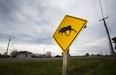 A moose crossing sign on Hwy 20 at Black Horse Corners on Monday, October 23, 2017.