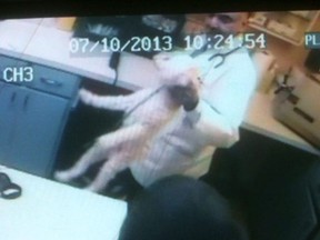 A still frame from video used as evidence against Dr. Mahavir Singh Rekhi by the College of Veterinarians of Ontario.