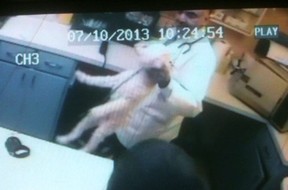 A still frame from video used as evidence against Dr. Mahavir Singh Rekhi by the College of Veterinarians of Ontario.