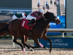 Melanie Pinto was in tears over Tevez, a horse she knows well and who has been claimed.  (Michael Burns photo)