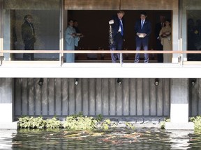 U.S. President Donald Trump, center, and Japan's Prime Minister Shinzo Abe, center right, feed carps before their working lunch at Akasaka Palace in Tokyo, Japan Monday, Nov. 6, 2017. (Toru Hanai/Pool Photo via AP)