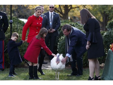 Ivanka Trump walks with her children, Joseph and Arabella Kushner, to meet Drumstick during the National Thanksgiving Turkey Pardoning Ceremony in the Rose Garden of the White House, Tuesday, Nov. 21, 2017, in Washington. (AP Photo/Evan Vucci)