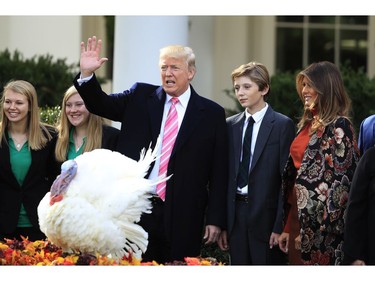 Donald Trump, Melania Trump, Barron Trump

President Donald Trump with first lady Melania Trump, right, and their son Barron Trump, waves after pardoning the National Thanksgiving Turkey Drumstick during a ceremony in the Rose Garden of the White House in Washington, Tuesday, Nov. 21, 2017. This is the 70th anniversary of the National Thanksgiving Turkey presentation. (AP Photo/Manuel Balce Ceneta) ORG XMIT: WHMC103
Manuel Balce Ceneta, AP