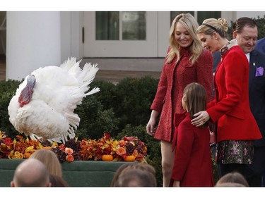 Tiffany Trump, Ivanka Trump, right, and her daughter Arabella Kushne look at Drumstick after President Donald Trump pardoned the turkey in an annual presidential tradition, Tuesday, Nov. 21, 2017, in the Rose Garden of the White House in Washington. (AP Photo/Jacquelyn Martin)