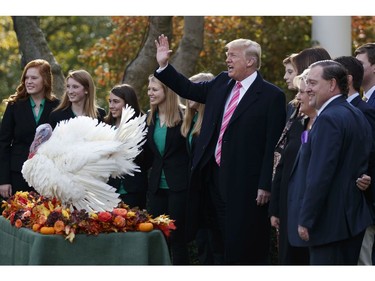 U.S. President Donald Trump waves during the National Thanksgiving Turkey Pardoning Ceremony with Drumstick the turkey in the Rose Garden of the White House, Tuesday, Nov. 21, 2017, in Washington. (AP Photo/Evan Vucci)
