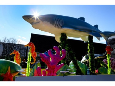 One of the new floats in this year's  Santa Claus parade included one from Ripley's Aquarium of Canada on Sunday November 19, 2017. Veronica Henri/Toronto Sun/Postmedia Network
Veronica Henri, Veronica Henri/Toronto Sun