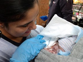 A mother holds her newborn baby after giving birth at a Fresno, California supermarket on Tuesday. (Facebook)