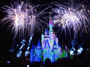 Two sisters reportedly brawled, stripped, fell into some bushes and one even fell on the other's vomit at Disney World, according to court papers.