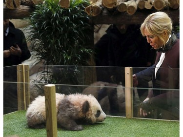 French First lady Brigitte Macron attends a naming ceremony of the panda born at the Beauval Zoo, in Saint-Aignan-sur-Cher, France, Monday, Dec. 4, 2017. The 4-month-old cub is called Yuan Meng, which means "the realization of a wish" or "accomplishment of a dream."