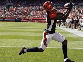 In this Oct. 1, 2017, file photo, Cincinnati Bengals wide receiver A.J. Green reaches for a ball after a 7-yard pass for a touchdown in the first half of an NFL football game against the Cleveland Browns, in Cleveland. Pittsburgh’s Antonio Brown and Cincinnati’s A.J. Green pulled off amazing sideline catches in their teams’ wins last week. They bring their special flair to a nasty rivalry game on Monday night. (AP Photo/Ron Schwane, File)