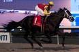 Jockey Jesse Campbell wasn’t happy about his win at Woodbine yesterday, after an accident on the track sent some horses and jockeys into a dangerous tumble. (Michael Burns photo)