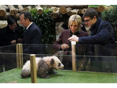 French First lady Brigitte Macron attends a naming ceremony of the panda born at the Beauval Zoo, with Rodolphe Delord, director of the zoo, in Saint-Aignan-sur-Cher, France, Monday, Dec. 4, 2017. The 4-month-old cub is called Yuan Meng, which means "the realization of a wish" or "accomplishment of a dream."