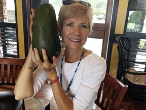 In this Nov. 28, 2017 photo, Pamela Wang poses for a photo in Kealakekua, Hawaii, with an avocado she found while on a walk. Wang is waiting to hear back from Guinness World Records to find out if the 5-pound (2.3-kilogram) avocado she snagged is the world's largest.