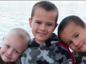 Tanner, Alexander and Andrew Skelton vanished in 2010. Cops think they may have found their remains.