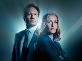 X-Files stars David Duchovny and Gillian Anderson.