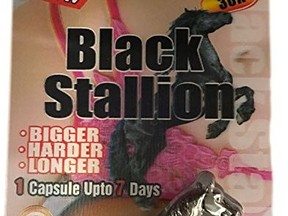 blackstallion1