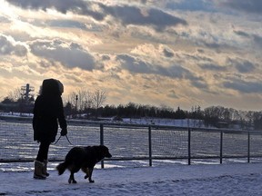 A woman walks a dog in the frigid cold in Toronto on Tuesday, January 2, 2018. Dave Abel/Toronto Sun