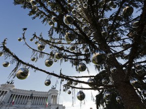 This photo taken on Dec. 19, 2017 shows, Rome's official Christmas tree standing in front of the Unknown Soldier monument in downtown Rome.