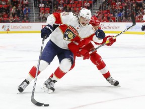 Florida Panthers centre Aleksander Barkov protects the puck from Detroit Red Wings defenceman Jonathan Ericsson when the two teams met Friday, Jan. 5 in Detroit.