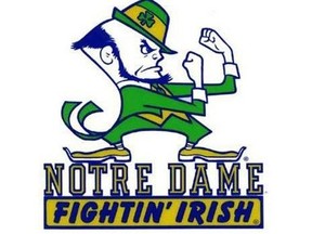 Theres a new call for the Notre Dame Fighting Irish to ditch their century-old mascot and team name.