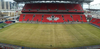 BMO Field pitch on Jan. 28, four weeks ahead of TFC’s opener. (Handout)