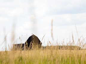 Provincial police say a farmer who shot and injured a dog in Essex, Ont., on the weekend will not face any charges. (GETTY IMAGES)