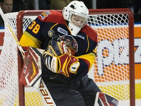 Sweden's Oscar Dansk, seen here playing for the Erie Otters in 2013, was drafted in the 2012 CHL import draft