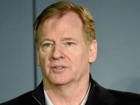 NFL commissioner Roger Goodell. (Hannah Foslien/Getty Images)