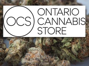 Medical marijuana is shown in Toronto on November 5, 2017 alongside the logo for the Ontario Cannabis Store announced on March 9, 2018.