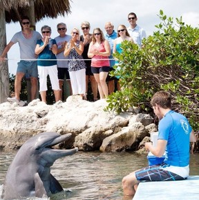 A new visitor welcome centre has opened at the Dolphin Research Center on Florida’s Grassy Key. PAUL KNOWLES PHOTO