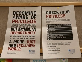 Privilege posters pinned up around the UOIT campus in Oshawa on Friday, March 2, 2018.