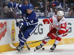 Martin Frk #42 of the Detroit Red Wings battles for the puck against Morgan Reilly #44 of the Toronto Maple Leafs during an NHL game at the Air Canada Centre on March 24, 2018 in Toronto, Ontario, Canada.