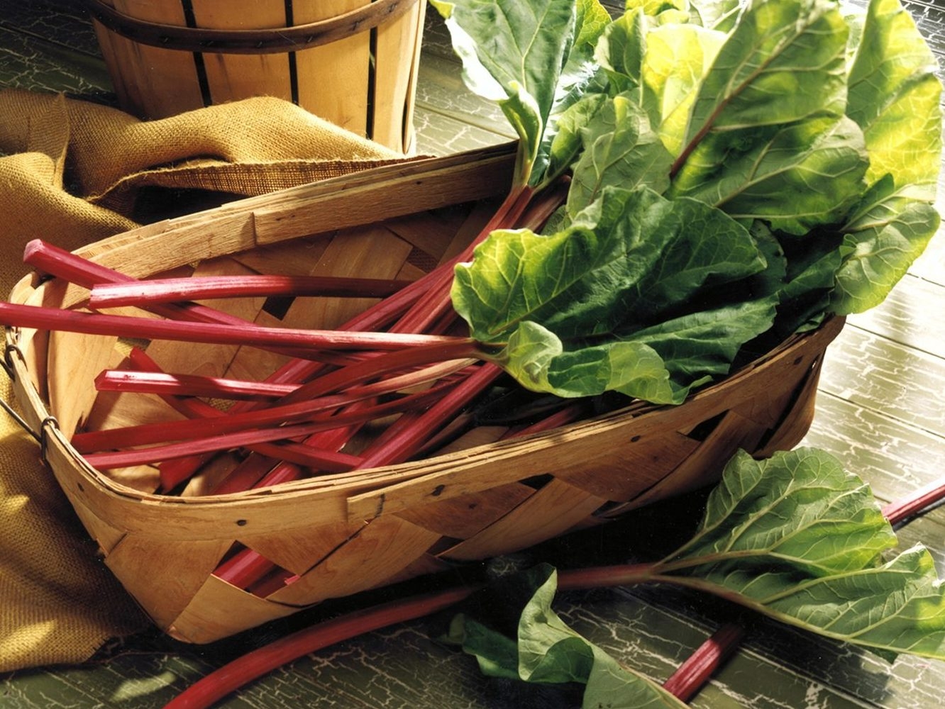 Sweet and savoury rhubarb dishes Toronto Sun