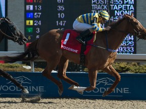 Pink Llyod won the $100,000 Jacques Cartier Stakes at Woodbine on Saturday. (Michael Burns/Photo)