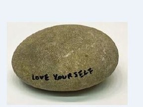 Image of the rock allegedly stolen from museum.