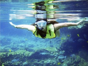 Scuba Caribe will whisk you between Playa Mujeres and Isla Mujeres on a private speedboat to snorkel and sightsee for two hours for $175 US. The Caribbean Sea around Isla Mujeres is crystal clear and perfect for snorkelling.