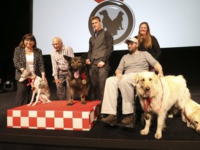 A pack of dogs were honoured at the 50th  Purina Hall of Fame awards. From left: Sabrina, with owners Adele and Bill Schwartz, of from St.-Laurent , Que; Arik, with owner Calvin Kuchta, of  Baddeck, N.S.; Lady and    Ruth, with owners Matt and Lara Smith, of Okanagan, B.C. (Jack Boland, Toronto Sun)