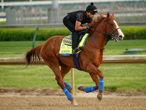 Justify trains on the track during morning workouts in preparation for the Kentucky Derby at Churchill Downs on May 3, 2018 in Louisville, Kentucky.  (Photo by Michael Reaves/Getty Images)