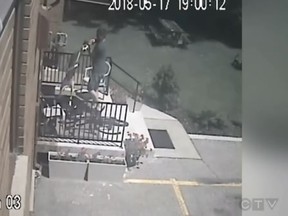 A video with a dog in London, Ont. sparked an animal cruelty investigation.