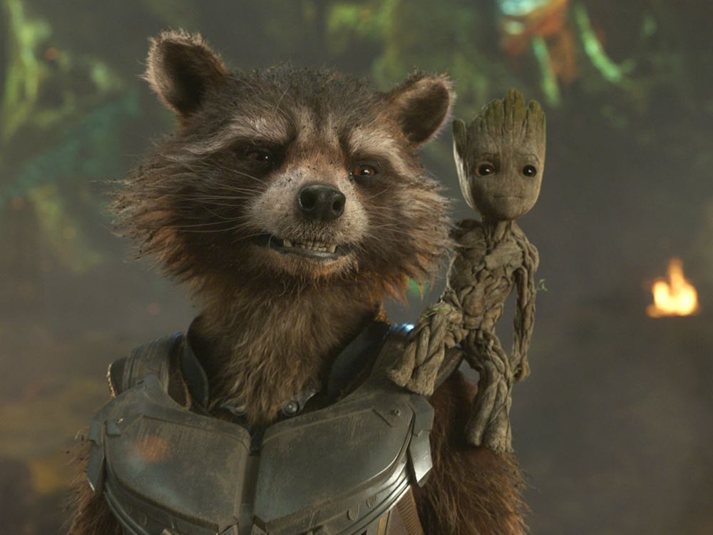 Avengers: Infinity War': James Gunn On If Thor Really Understands Groot -  Heroic Hollywood