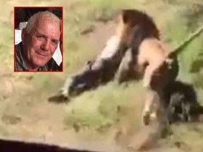 A cellphone video shows Brit Mike Hodge being dragged off by a lion at a safari park in South Africa. (YouTube/Daniel Kalemasi)