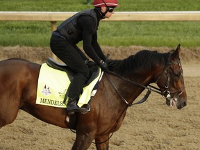 Kentucky Derby entrant Mendelssohn runs during training at Churchill Downs Thursday, May 3, 2018, in Louisville, Ky. The 144th running of the Kentucky Derby is scheduled for Saturday, May 5. (AP Photo/Charlie Riedel) ORG XMIT: KYCR103
