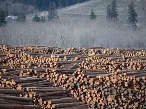 Softwood lumber is pictured at Tolko Industries in Heffley Creek, B.C., Sunday, April 1, 2018.