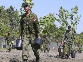 School children, members from the Rotary Club veterans and currently serving members of the Canadian Armed Forces plant 500 trees at Meadowvale Rd and the 401 on Thursday May 24, 2018. The Highway of Heroes Tree Campaign plans to plant 117,000 trees,one for every fallen Canadian soldier. (Veronica Henri/Toronto Sun)