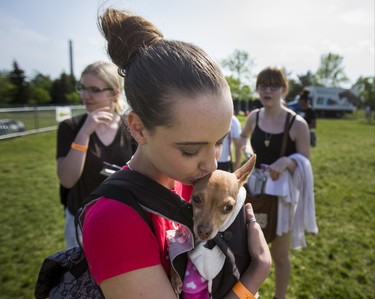 Lindsey Sterling with Lola, her Chihuahua, at the 15th annual Woofstock - a festival for dogs - held at Woodbine Park in Toronto, Ont. on Saturday May 26, 2018. The two day event finishes on Sunday May 27. Ernest Doroszuk/Toronto Sun/Postmedia