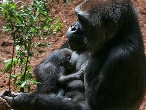 Ngozi and her baby.