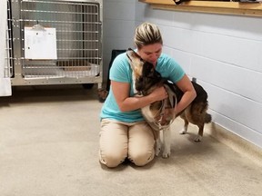 Maggie was taken after her owner went to the LCBO for 10 minutes. CCTV footage shows a woman in her 40s unclipping her from the post and walking towards Broadview station. (Peter Russell/Facebook)