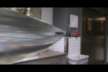 Evangeline Lilly's Wasp in a scene from Ant-Man and The Wasp. (Marvel Studios)