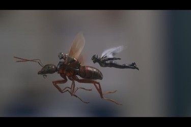 Evangeline Lilly's Wasp gets shrunken down to size alongside Paul Rudd's Ant-Man in Ant-Man and The Wasp. (Marvel Studios)